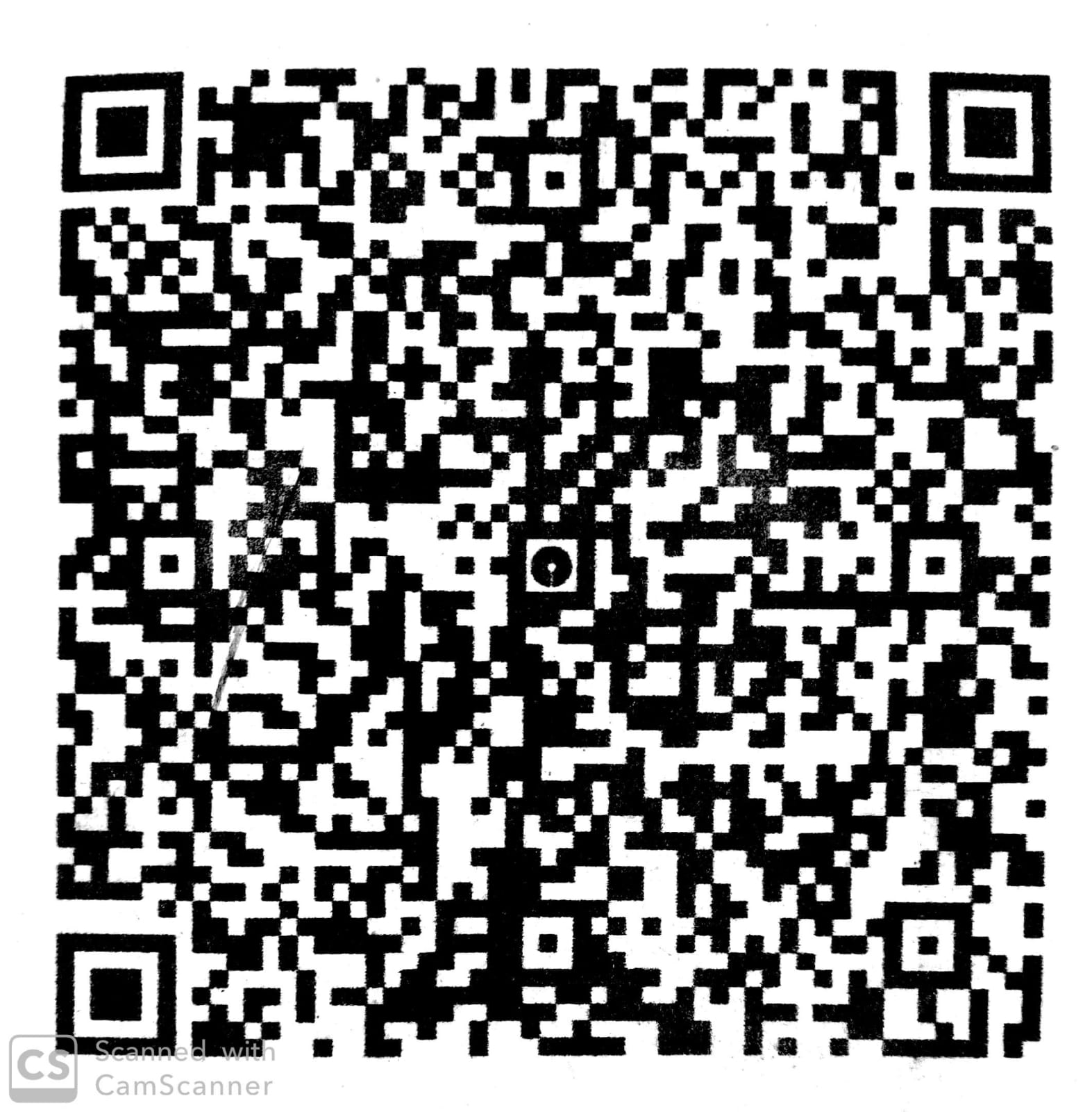 UPI QR Code