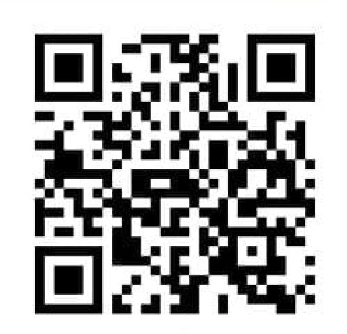UPI QR Code