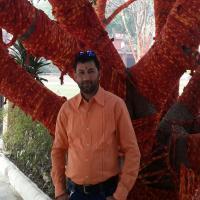 profile-img