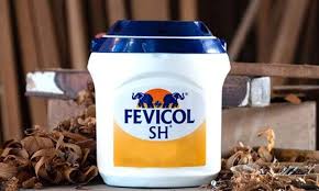 Fevicol