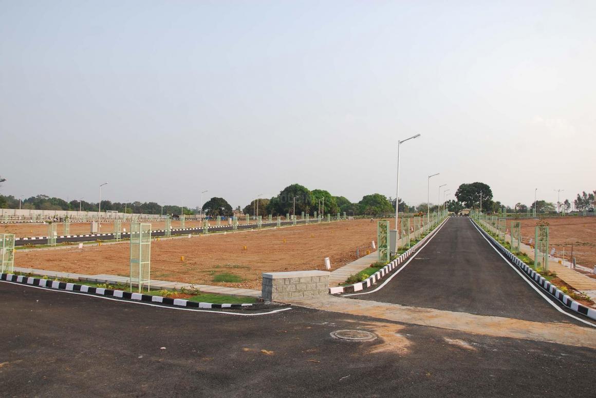 Layout Services