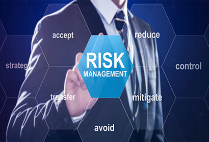 Security & Risk Audit