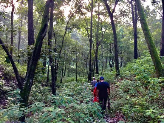 Nature Treks