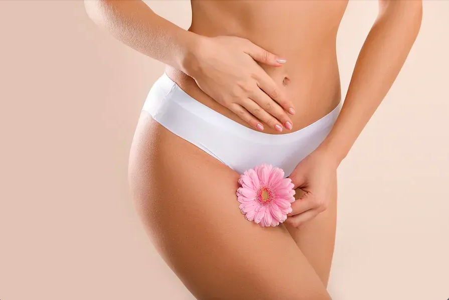 Female Genital Cosmetic Surgery