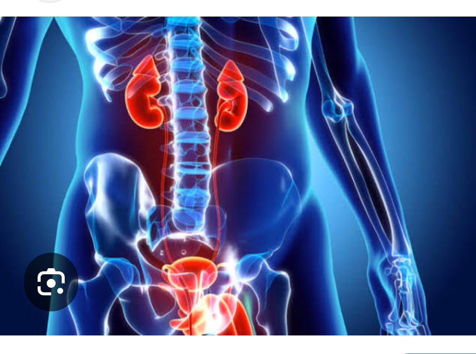 Urology