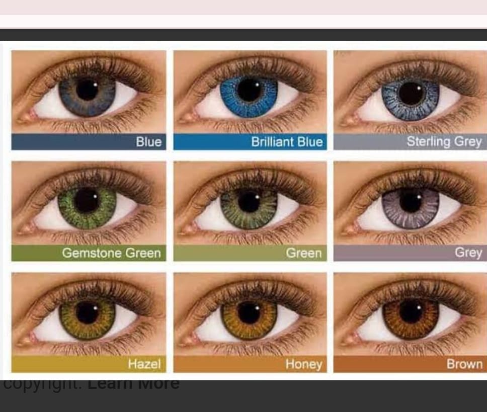 Contact Lens Clinic