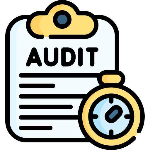 Auditing & Assurance Services