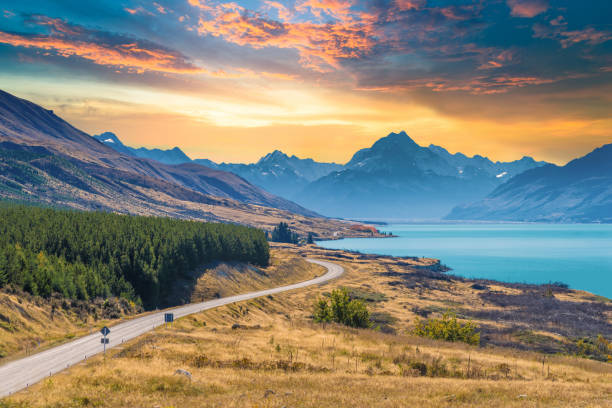NEW ZELAND VEG TOUR