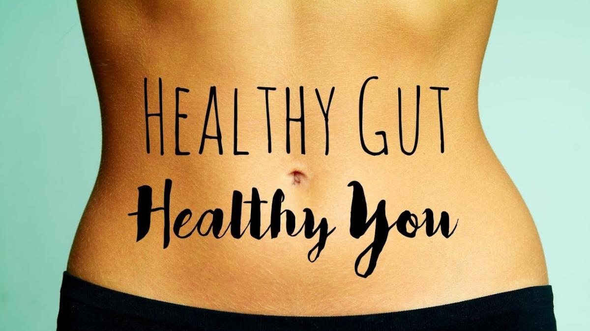 Gut Healing Program