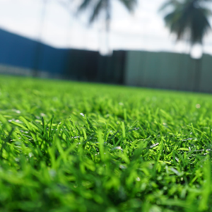 BOX CRICKET TURF GROUND