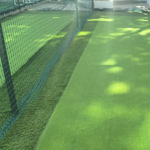 CRICKET PRACTICE NETS