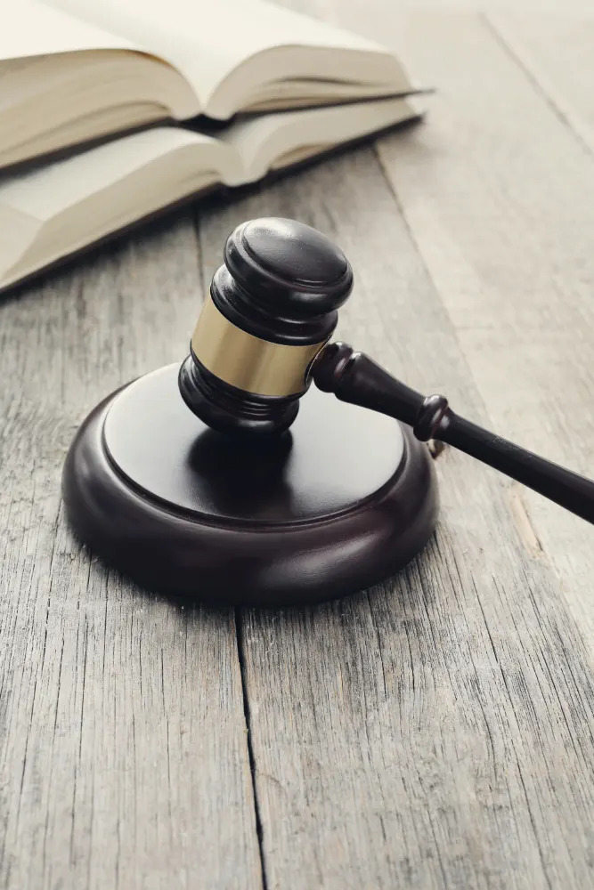Litigation