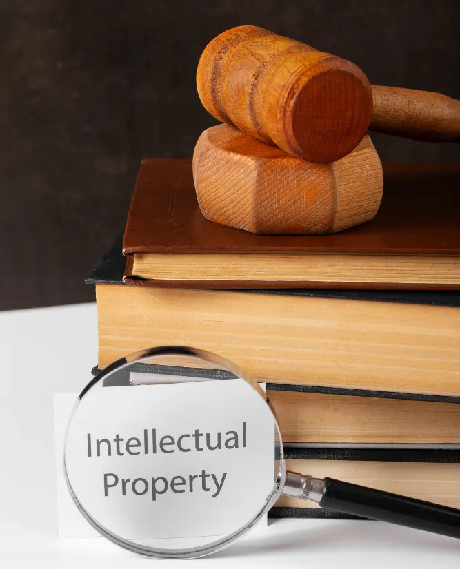 Intellectual Property Rights