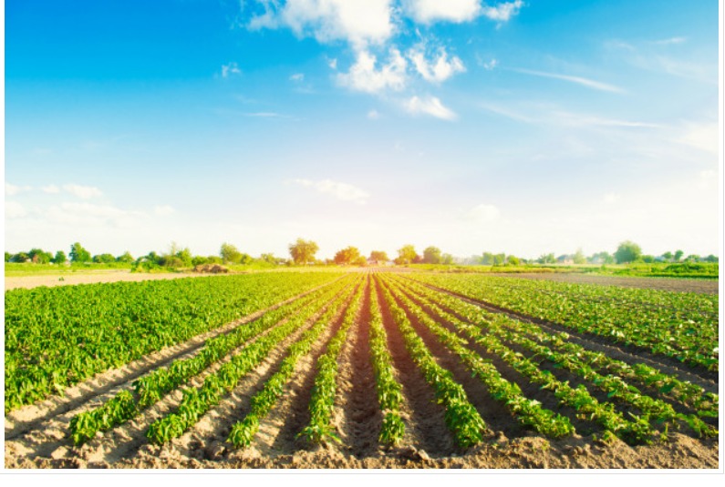 Agriculture