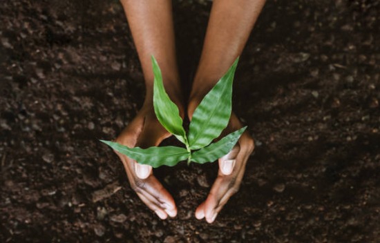 Sustainability