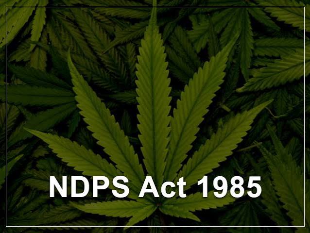 NDPS cases