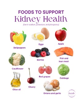 Liver & Kidney Health Nutrition