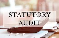Statutory Audit