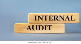 Internal Audit